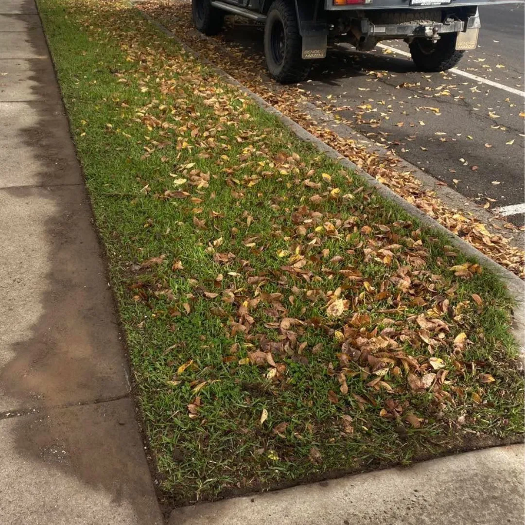 Seasonal garden cleanup and autumn leaf removal service at Bendigo residential property